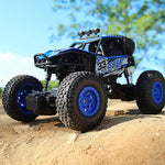 Buggy radiocommandé adulte Shop Radiocommandé 2