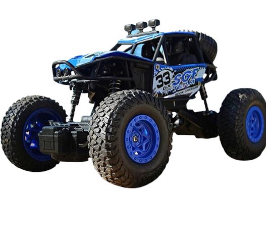 Buggy radiocommandé adulte Shop Radiocommandé