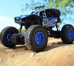 Buggy radiocommandé adulte Shop Radiocommandé