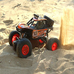 Buggy radiocommandé adulte Shop Radiocommandé