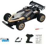 Buggy télécommande Shop Radiocommandé