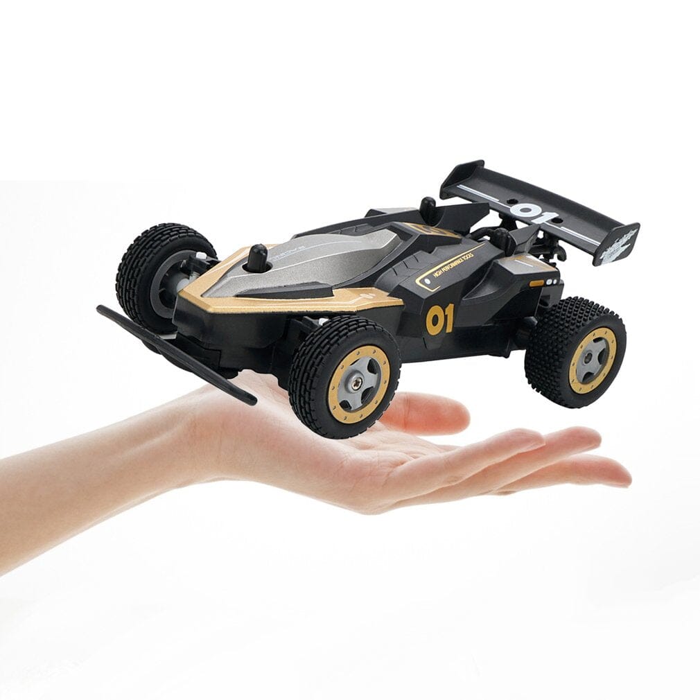 Buggy télécommande Shop Radiocommandé