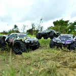 Tout terrain voiture télécommandée Shop Radiocommandé