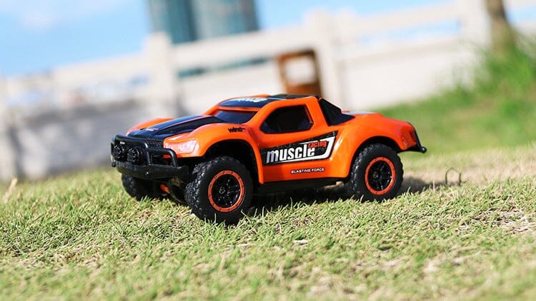 Voiture télécommandée batterie rechargeable Shop Radiocommandé