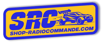 Shop Radiocommandé