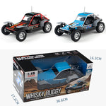 Buggy telecommandé tout terrain puissant Shop Radiocommandé 