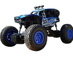 Buggy radiocommandé adulte Shop Radiocommandé 