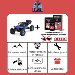 Voiture buggy télécommandée Shop Radiocommandé 
